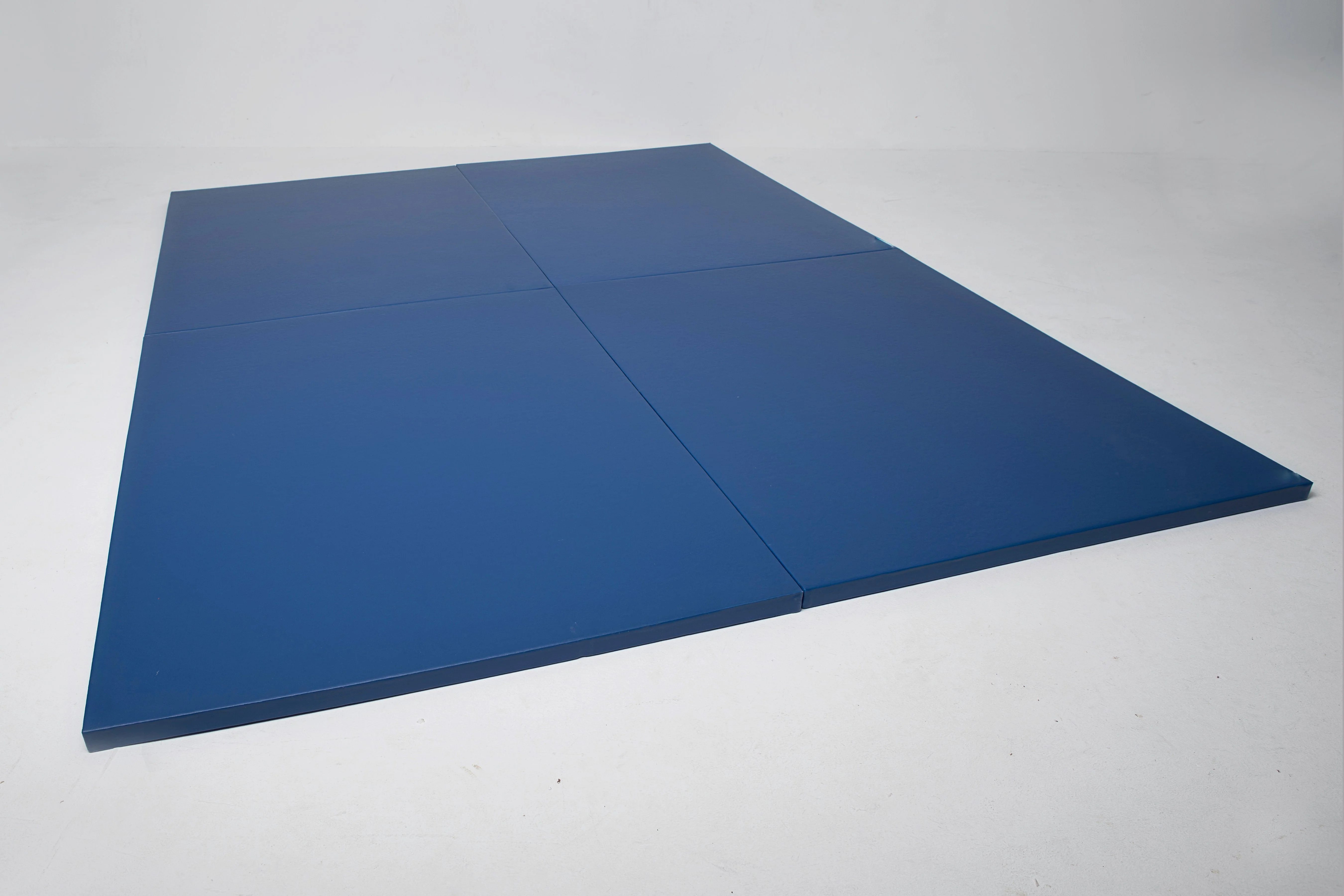 Cannons UK ProMat Agility Mat - Image 5