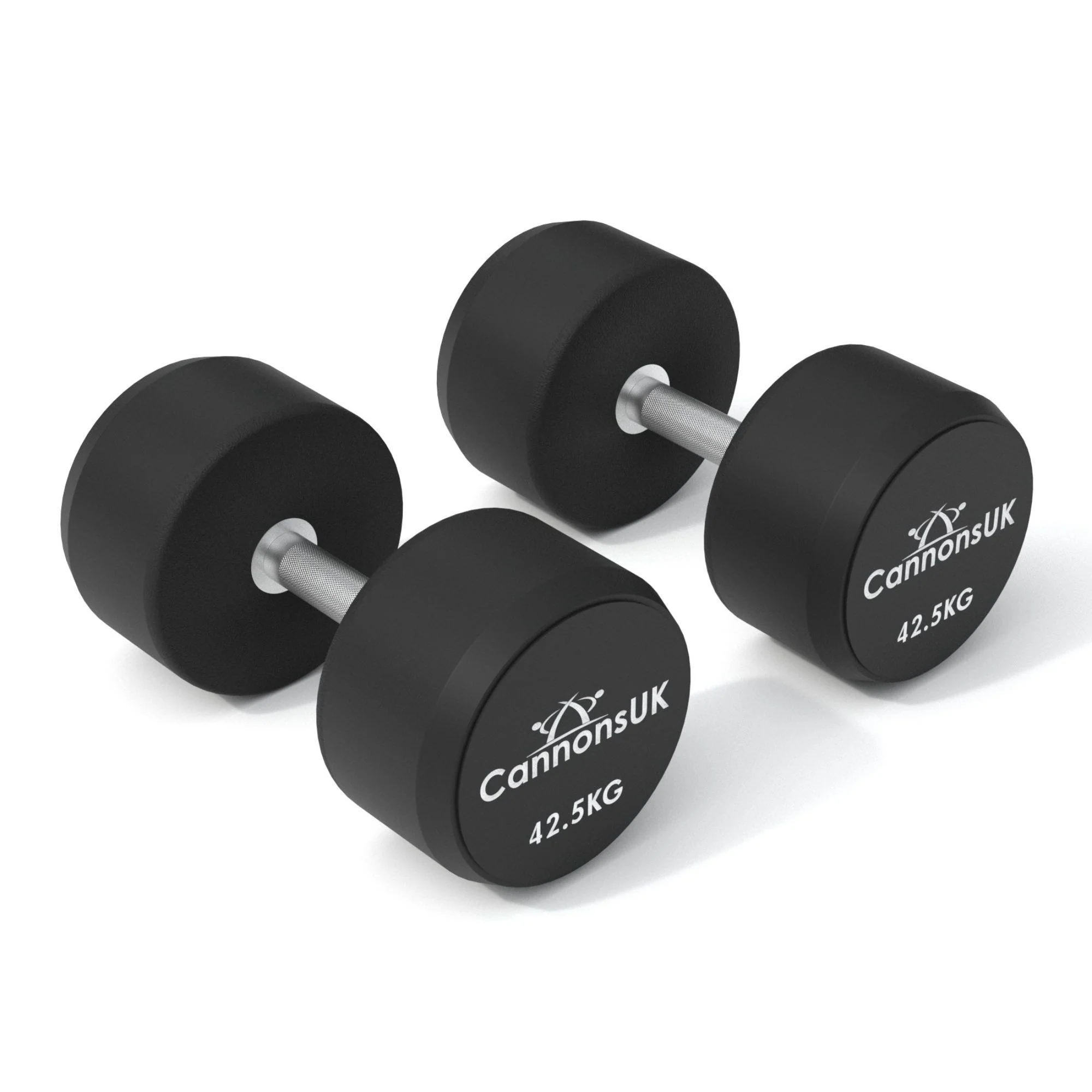 Urethane Dumbbells - Image 18